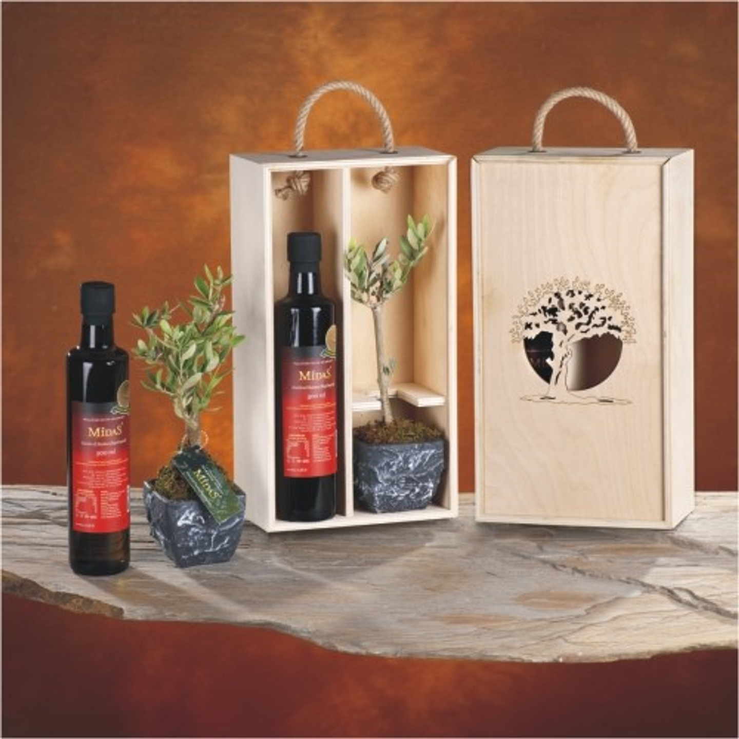 Oleo Zeytinyağı + Zeytin Fidesi Seti